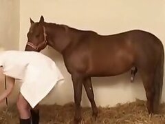 Animal porn and zoo sex tube