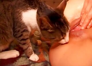 Pussy